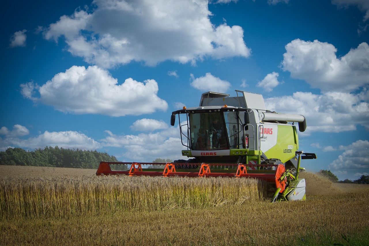 combine harvester, harvest, barley, grain, agriculture, fields, cornfield, yield, claas