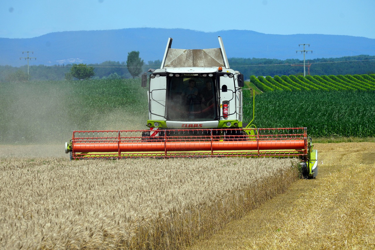 harvest, combine harvester, agriculture, agricultural machine, cereals, wheat, cornfield, rural, landscape, nature, combine harvester, combine harvester, combine harvester, combine harvester, combine harvester, agricultural machine, cornfield